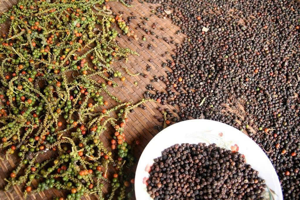 Black Pepper