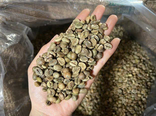 Green Coffee Beans